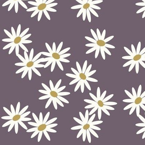 daisies - purple flowers