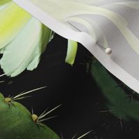 Night Cactus Bloom 