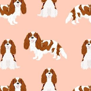 cavalier king charles spaniel blenheim simple dog fabric pink