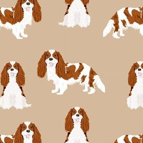 cavalier king charles spaniel blenheim simple dog fabric tan