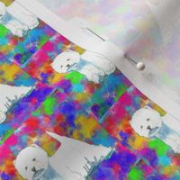 Westie West highland terrier on Colorful background