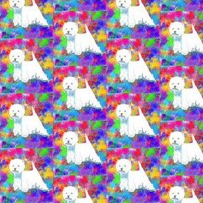 Westie West highland terrier on Colorful background