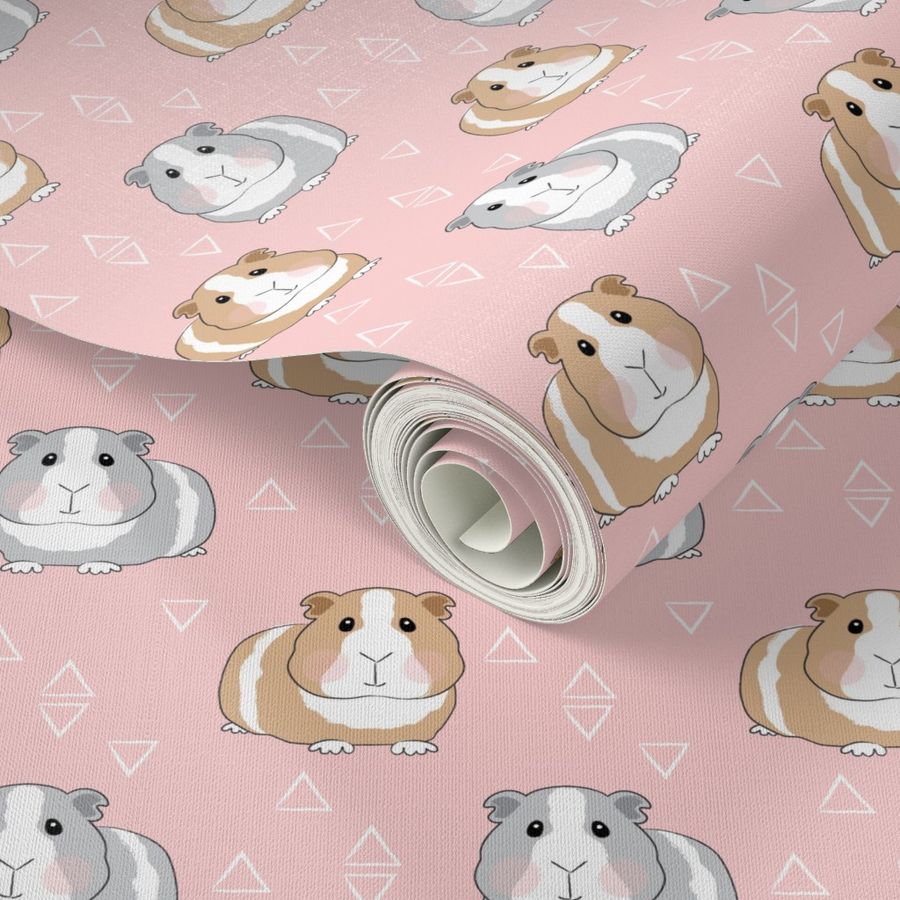 guinea-pigs-with-triangles-on-pink