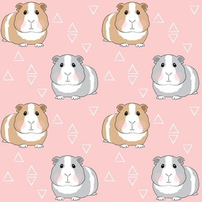 guinea-pigs-with-triangles-on-pink