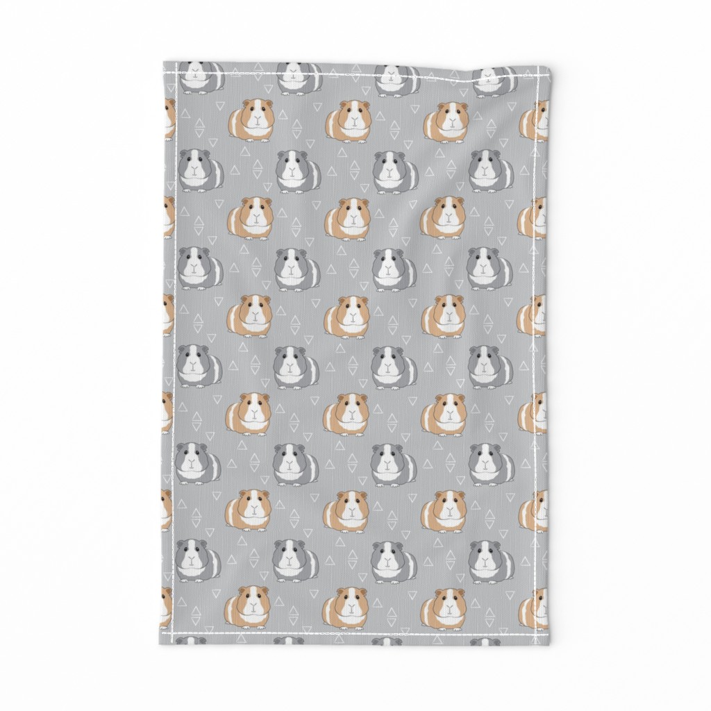 guinea-pigs-with-triangles-on-grey