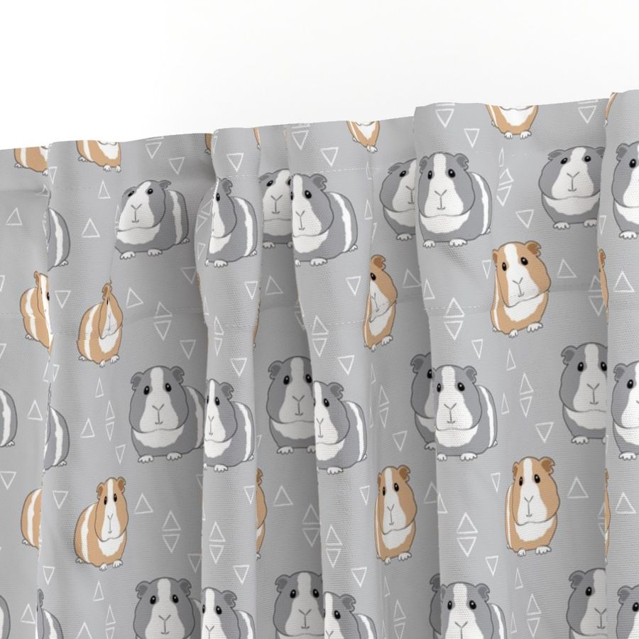 guinea-pigs-with-triangles-on-grey