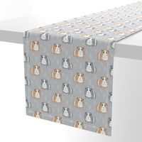 guinea-pigs-with-triangles-on-grey