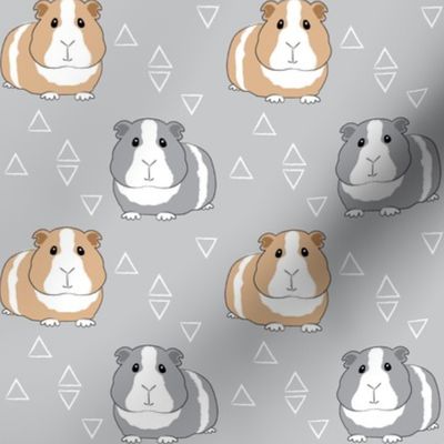 guinea-pigs-with-triangles-on-grey