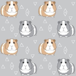 70 Guinea Pig HD Wallpapers and Backgrounds