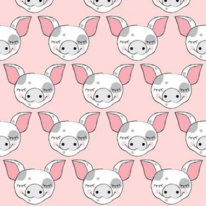 spotted pig faces on pink