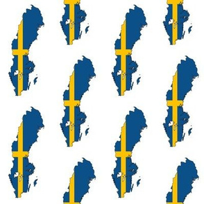 Swedish Flag Overlay