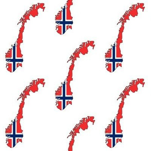 Norwegian Flag Overlay // Small