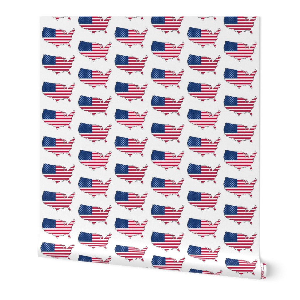 USA Flag Overlay