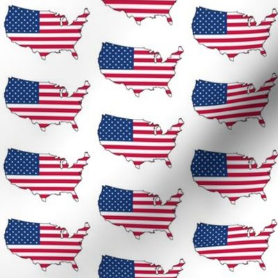 USA Flag Overlay