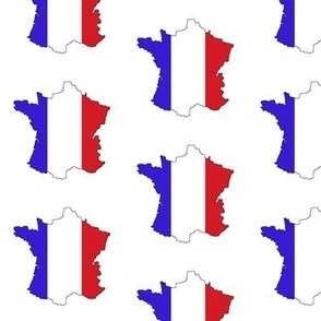 France Flag Overlay