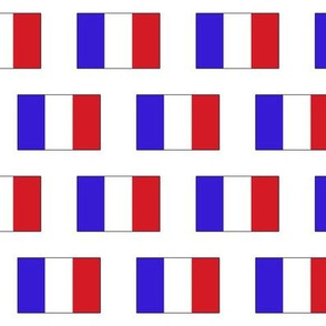 French Flag // Small