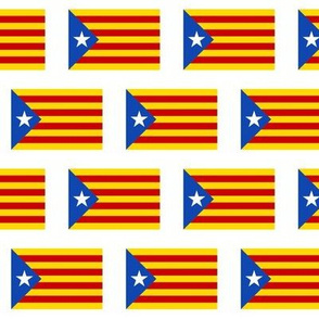 Catalonian Flag // Small