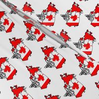 Canadian Flag Overlay // Small