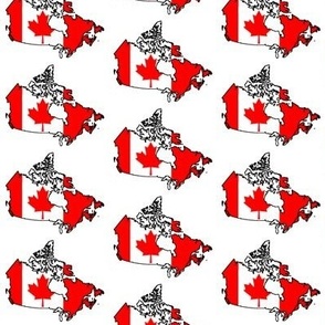 Canadian Flag Overlay // Small