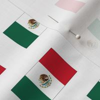 Mexican Flag // Small