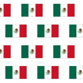 Mexican Flag // Small