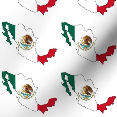 Mexican Flag Overlay // Large