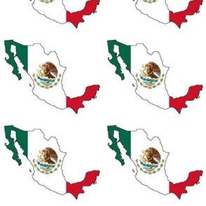 Mexican Flag Overlay // Large
