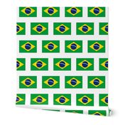 Brazilian Flag // Small