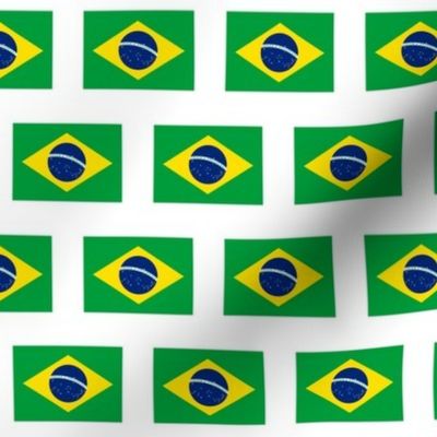 Brazilian Flag // Small