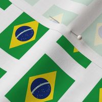 Brazilian Flag // Small