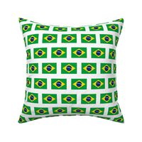 Brazilian Flag // Small