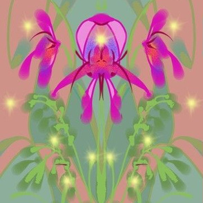 Orchidae