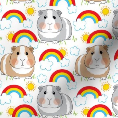 guinea-pigs-and-rainbows-on white