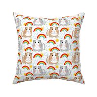 guinea-pigs-and-rainbows-on white