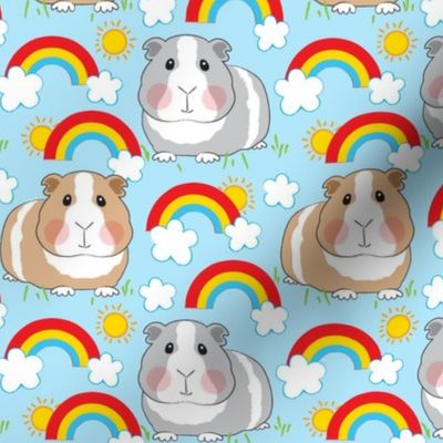 large guinea pigs rainbows and clouds