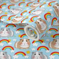 large guinea pigs rainbows and clouds