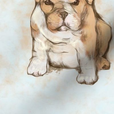 Custom Grumpy Bulldog Pup