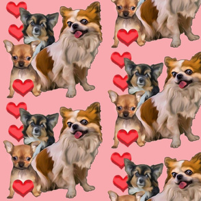 chihuahuas and hearts fabric