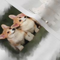  4 Corgi Pups  PICT3024