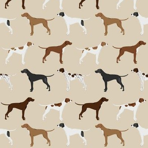 english pointers fabric - dog breed coat colors - tan