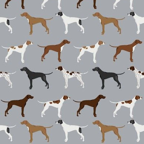 english pointers fabric - dog breed coat colors - grey