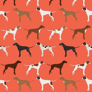 english pointers fabric - dog breed coat colors - orange