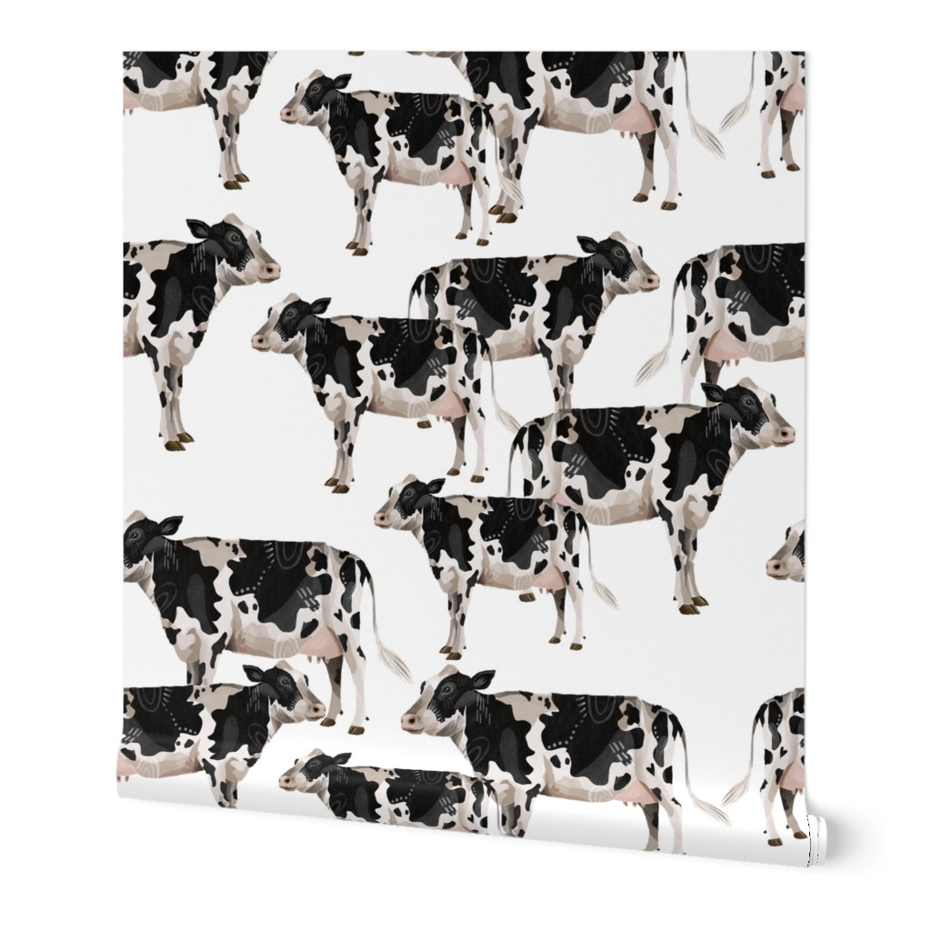 Cows Cows Cows - White background