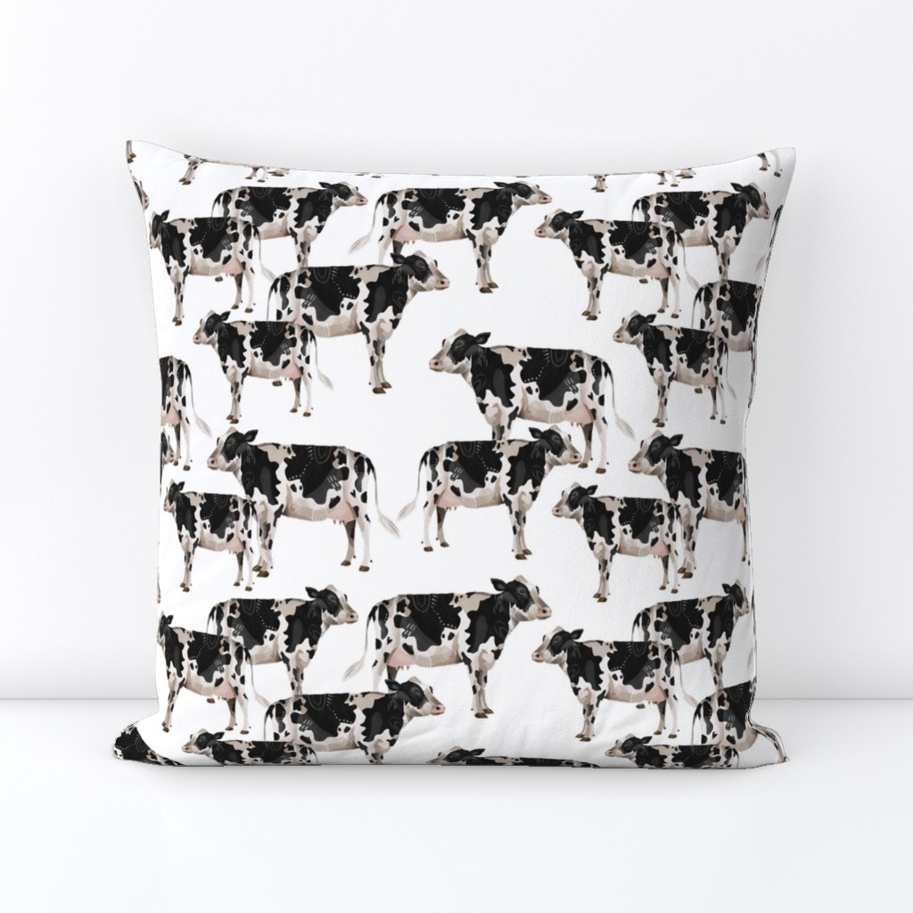 Cows Cows Cows - White background