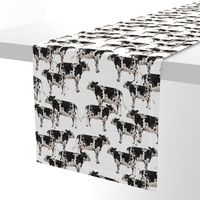 Cows Cows Cows - White background