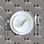 Dairy Cow - Grey Background