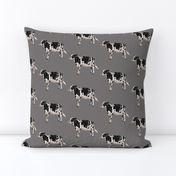 Dairy Cow - Grey Background