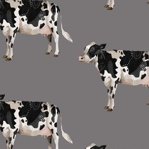 Dairy Cow - Grey Background