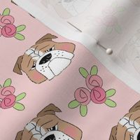 english bulldog faces-and-roses