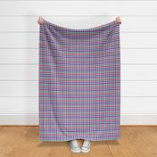 8 Color Asymmetrical Plaid in Candy Colors